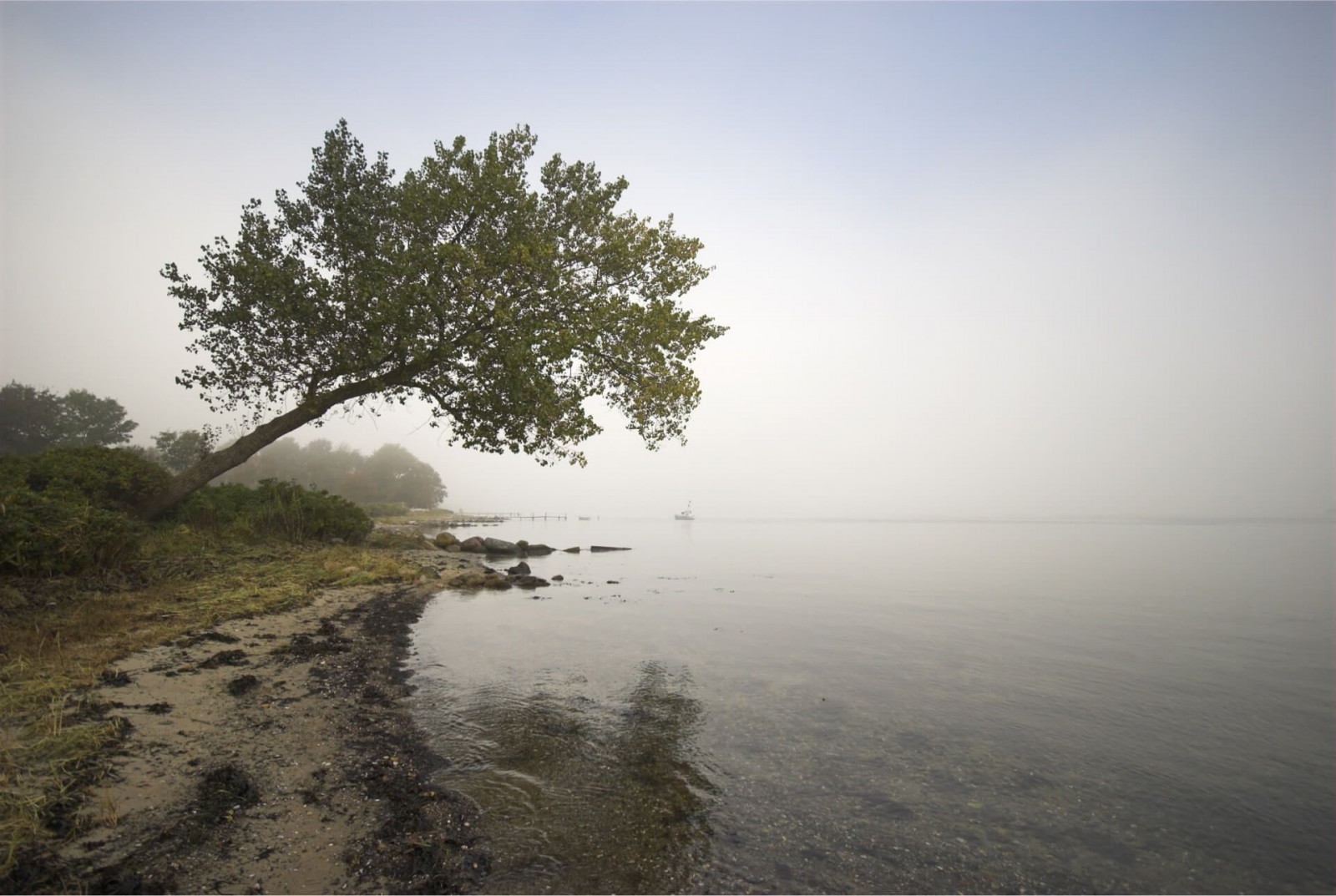 Forretningsområder